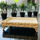 Coffee Table Tray